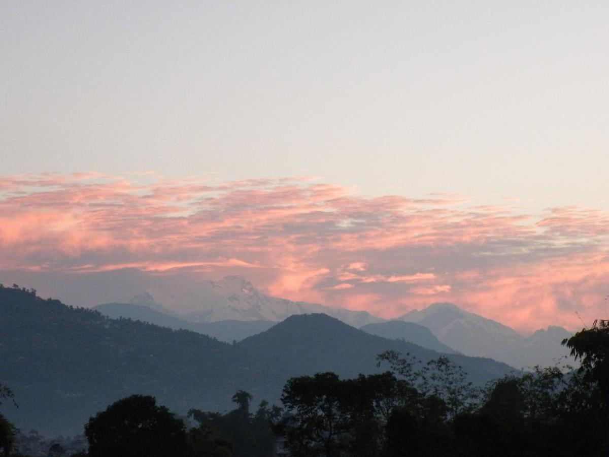 Pokhara Abroad Inn Rum bild